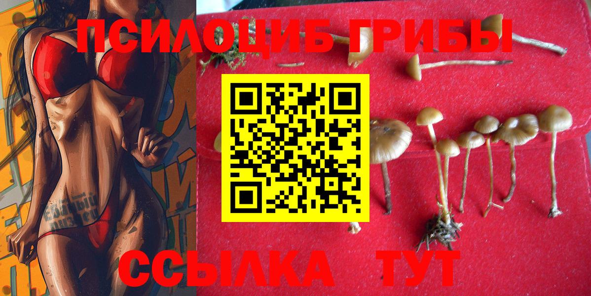 цена наркотик  Галлюциногенные грибы MAGIC MUSHROOMS  Вход с VPN  Нефтеюганск 